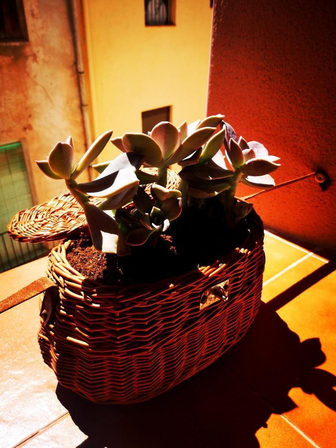 Cornu Karma Apartment Siuranella Cornudella de Montsant Exterior foto